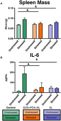 Dietary Oligosaccharides Attenuate Stress-Induced Disruptions in Immune Reactivity and Microbial B-Vitamin Metabolism